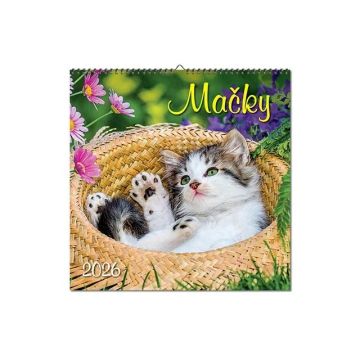Kalendár nástenný Mačky