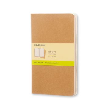 Zošit MOLESKINE L čistý kartón