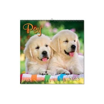 Kalendár nástenný Psy