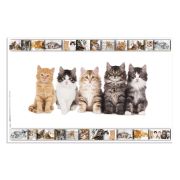 Podložka na písanie lamino Mačky