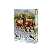 Dosky školské A5 rozšírené ARGUS Wild horses