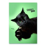 Zošit 444 Mar Mar Pets linajkový