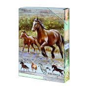Dosky školské A4 rozšírené ARGUS Wild horses