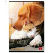 Zošit 444 Dolci Cucioli linajkový