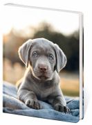 Pamätník STIL bez zámku Pup