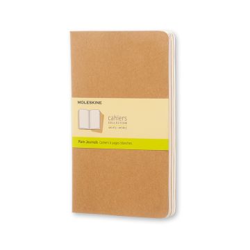 Zošit MOLESKINE L čistý kartón