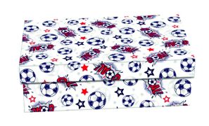 Krabica C6 na výtvarné potreby 33x22,5x8 Futbal